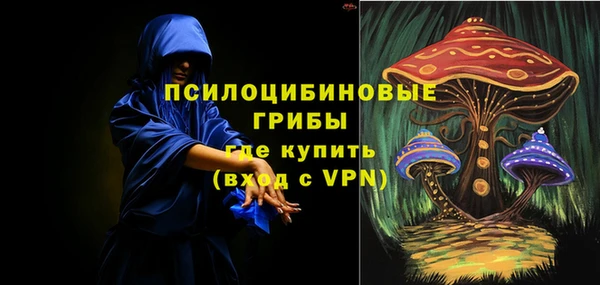 гидропоника Абаза