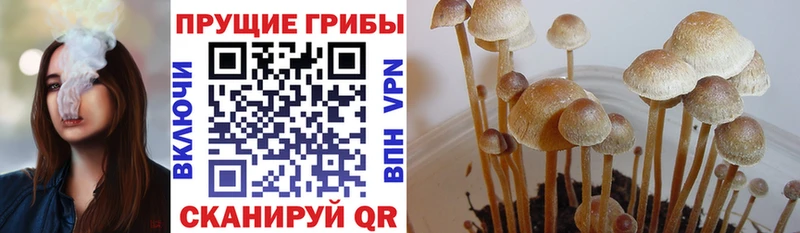 магазин продажи   Суоярви  ОМГ ОМГ   Псилоцибиновые грибы Magic Shrooms 